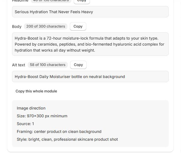 Alt text and an Image direction box showing size, source, framing and style
